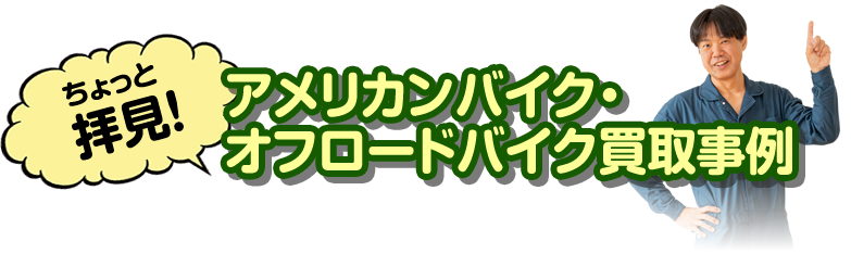 ワイルドキャットのアメリカンバイク買取事例