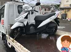 不動車でもこの価格！