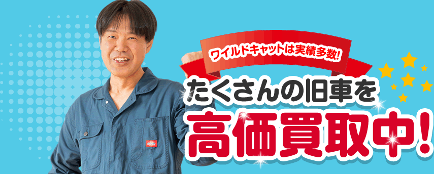 ワイルドキャットは実績多数　たくさんの旧車を高価買取中
