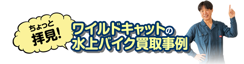 ワイルドキャットの水上バイク買取事例