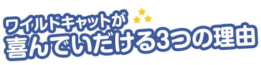 ワイルドキャットが喜んでいただける３つの理由