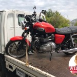 愛知県豊明市沓掛　バイク買取　トライアンフ