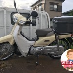 安城市東栄町でバイク買取　スーパーカブ(AA04)