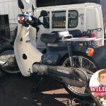 名古屋市緑区鳴海　バイク買取　スーパーカブ(AA01)