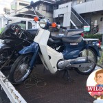 天白区八事山　バイク買取　スーパーカブ50(AA01)