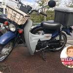 東海市荒尾町　バイク買取　バーディ５０　SUZUKI