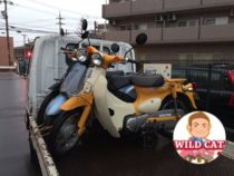 名古屋市西区五才美　バイク買取　原付リトルカブ(AA01)セルなし