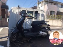 名古屋市緑区桶狭間　バイク買取　原付today(AF61)