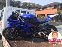 浜松市中区高林でバイク買取　YAMAHA R6 カスタム車両