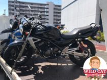 東海市荒尾町　バイク買取　KAWASAKI バリオス２