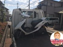 名古屋市緑区旭出　バイク買取　原付ジョグZR(SA16)