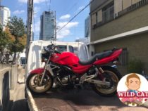 中村区太閤　バイク買取　KAWASAKI バリオス２