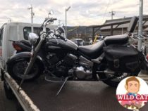 春日井市高蔵寺　バイク買取　ドラックスター400クラッシック