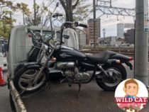 熱田区六野　バイク買取　原付マグナ５０（不動車）