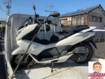 大府市横根　バイク買取　PCX125(JF28)雨ざらし