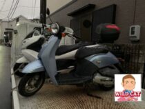 日進市藤塚　バイク買取　HONDA today(AF61)実働車