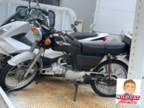 名古屋市北区西味鋺　バイク買取　CD90(HA03)タンク腐り不動