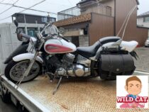 名古屋市中村区元中村にてバイク買取　ドラックスター400(4TR)不動車