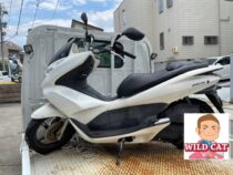 東海市名和町　バイク買取　HONDA PCX125(JF28) 外装下