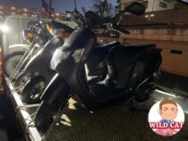 名古屋市緑区姥子山　バイク買取（売却）ダンク転倒車両