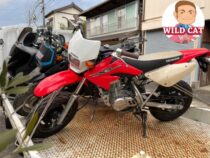 XR50モタード改造車　買取実績 静岡県藤枝市まで