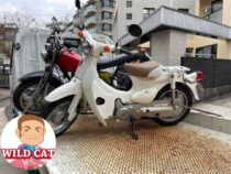 千種区山添町　バイク買取　リトルカブ　キャブ車　売却ありがとうございました。