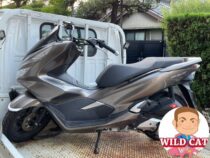 中村区松原　バイク買取　PCX125(JF81)バッテリー上がりマスターキー無し