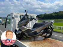 岐阜県可児市　バイク買取　PCX125(JF81)転倒車リピートご依頼　売却ありがとうございました